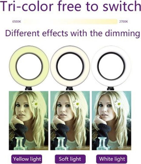 LED Ring Light CXB 300 Ring Light 30cm με Τρίποδο Δαπέδου και Βάση για Κινητό