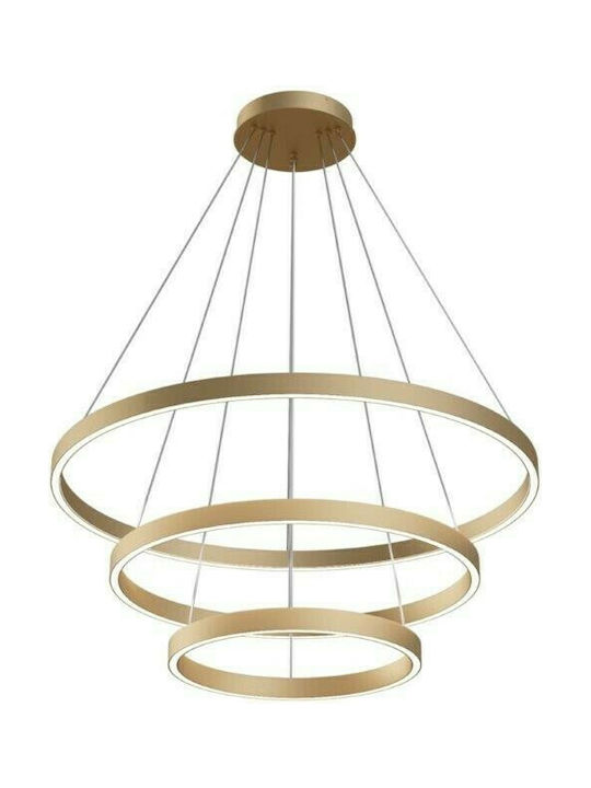 Maytoni Rim Pendant Lamp Bronze