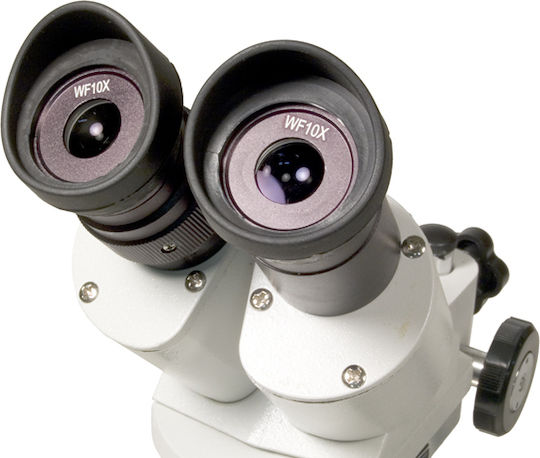 Levenhuk 3ST Stereo Educational Binocular Microscope 20-40x