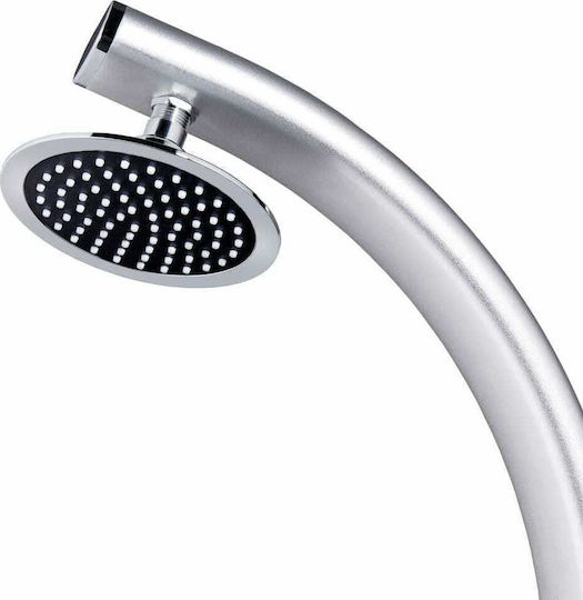 vidaXL Duș pentru Piscină Din Aluminiu Argintiu