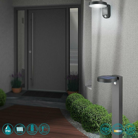 Trio Lighting Posadas Wall Mounted Solar Light 4.5W 290lm Warm White 3000K with Motion Sensor IP44 15cmx12cmcm