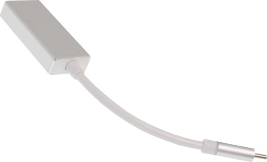 Ancus Convertor USB-C masculin în DisplayPort feminin Argintiu 1buc 21542