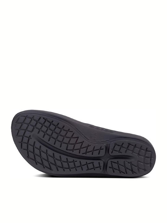 Oolala Luxe Women's Flip Flops Purple
