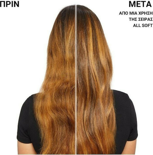 Redken All Soft Shampoos Reconstruction/Nourishment & Hydration for All Hair Types 300ml