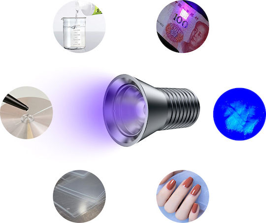 Best Lighting LED Blacklight 10W