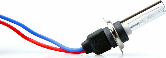 M-Tech Xenon Σετ Φωτισμού Αυτοκινήτου Slim Basic Ballast H7 12V 6000K Ψυχρό Λευκό