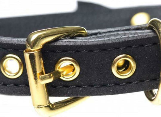 XR Master Series Golden Kitty Collar with Cat Bell Halsband in Schwarz Farbe