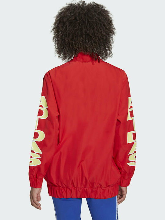 adidas adidas
