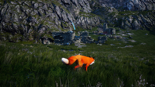 Spirit of the North Switch-Spiel