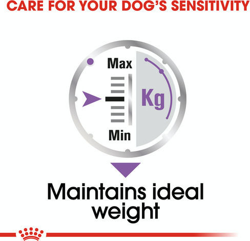 Royal Canin Sterilised Wet Food Dogs in Pouches with Meat 12x85gr