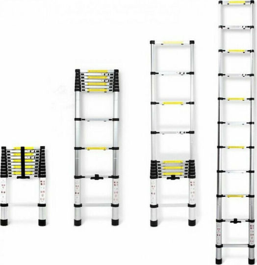 Telescopic Ladder Aluminum 15 of Steps with Maximum Height 4.4m TL44