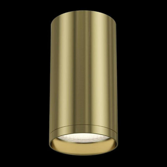 Maytoni Einzel Spot mit Fassung GU10 in Gold Farbe
