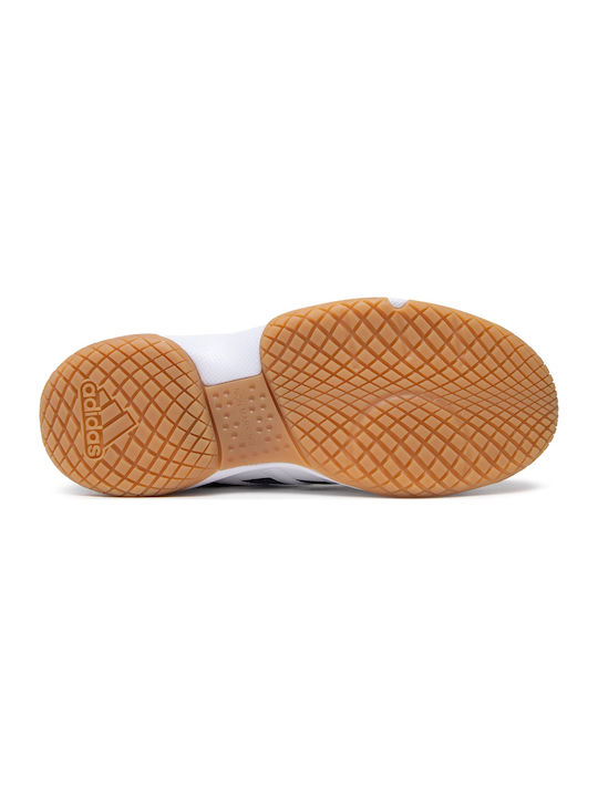 Ligra 7 Herren Sportschuhe Volleyball Cloud White / Core Black