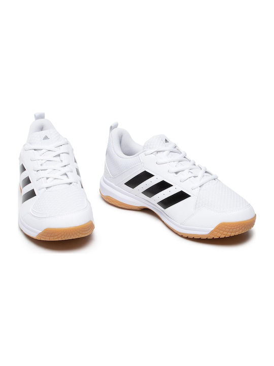 Ligra 7 Herren Sportschuhe Volleyball Cloud White / Core Black