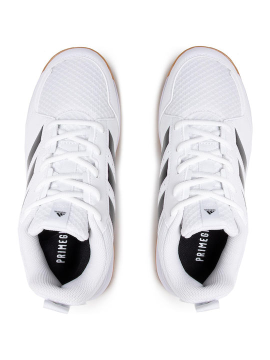 Ligra 7 Herren Sportschuhe Volleyball Cloud White / Core Black