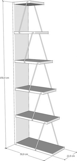 Bibliothek A-g Tlos Walnut / Black 50x22x150cm
