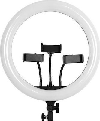 GloboStar RGB Ring Light Professional Digital Ring Light 36cm 3000-6000K με Βάση για Κινητό