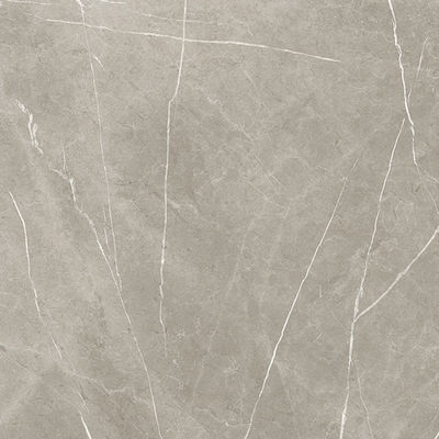 Ravenna Eternal Floor Interior Matte Porcelain Tile 120x120cm Taupe