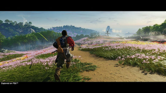Ghost of Tsushima Director's Cut Edition PS5-Spiel