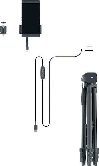Razer Ringlicht mit Bodenstativ und Handyhalterung 30,48cm Durchmesser 3000 - 6500K