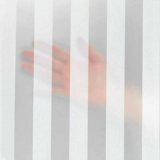 Wenko Frozen Perdea de duș 180x200cm Gri 23198100