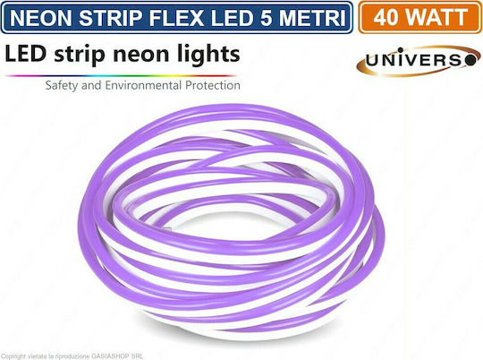 Universe Αδιάβροχη Ταινία LED 12V Μωβ Φως 5m Neon Flex