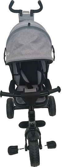 Joyful Kids Joyful Eva Tires Convertible with Parental Handle for 9 Months Gray
