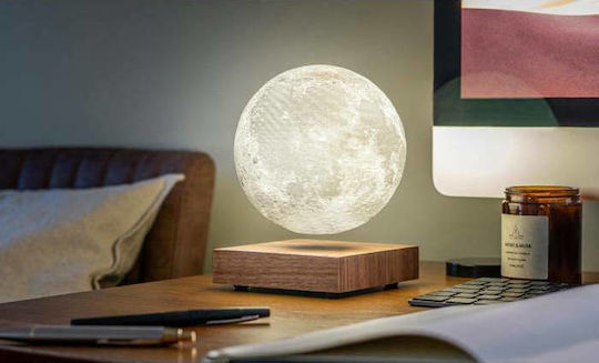 Gingko Dekorative Lampe Mondlicht Beige
