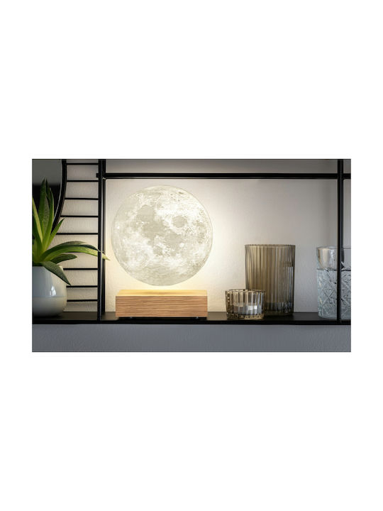 Gingko Dekorative Lampe Mondlicht Beige