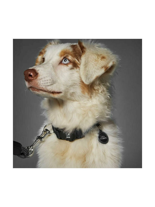 My Family Memopet Dog Collar in Black color Collar Small 25-45cm