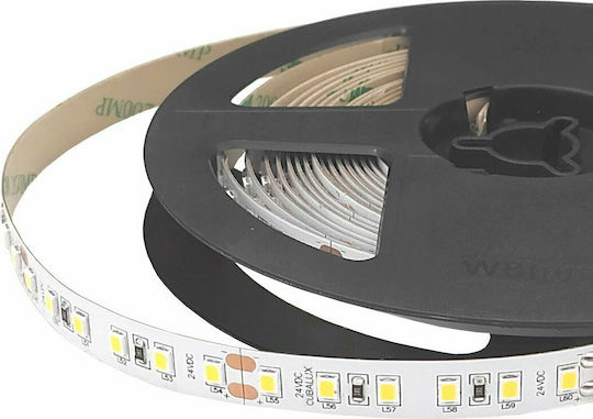 Cubalux LED Strip 24V Warm White Light 5m Type COB