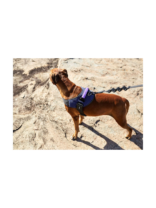 Zee-Dog Wicked Fly Harness 73-107εκ. Size 5