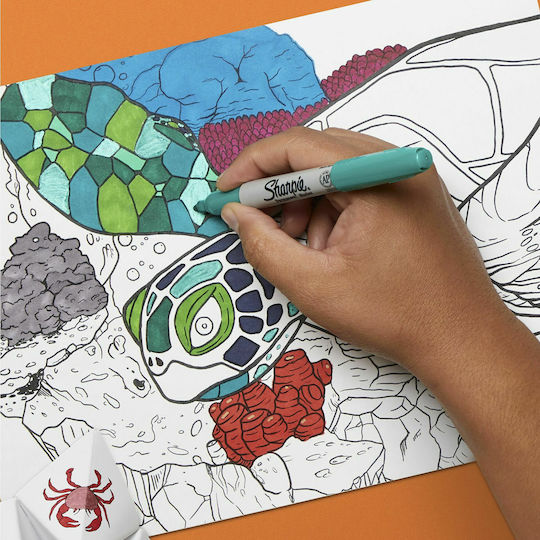 Sharpie Permanent Fine Μαρκαδόροι Σχεδίου 12 Colours Σετ 12 χρώματα