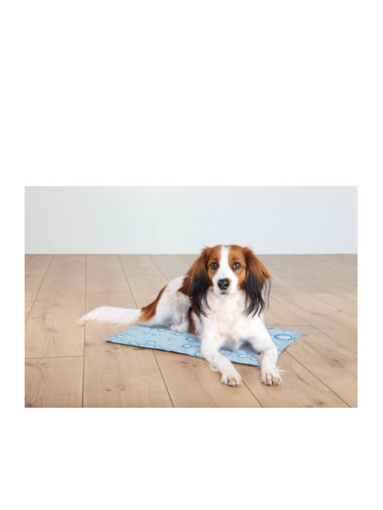 Trixie Cooling Rug Dog Cooling Light Blue 65x50cm. 28778