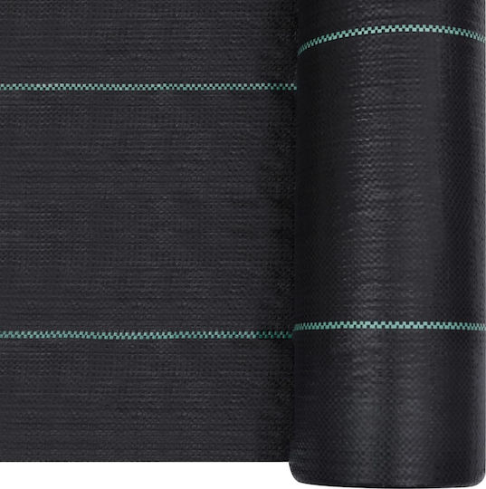 vidaXL 313065 Ground Cover Fabric 60gsm 2x10m Black
