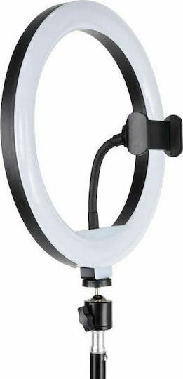 Havit ST7026 Lumină Inelară RGB 26cm cu Trepied de Pardoseală și Suport pentru Telefon