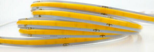 Optonica LED Strip 24V Cold White Light 5m Type COB