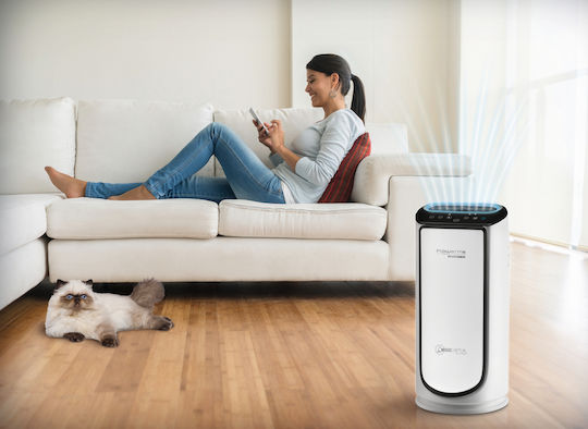Rowenta Intense Pure Air Connect XL Luftreiniger 60W Für Räume 140m²