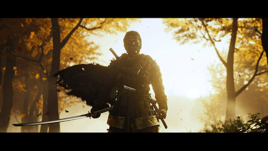 Ghost of Tsushima Director's Cut Edition PS4 Game