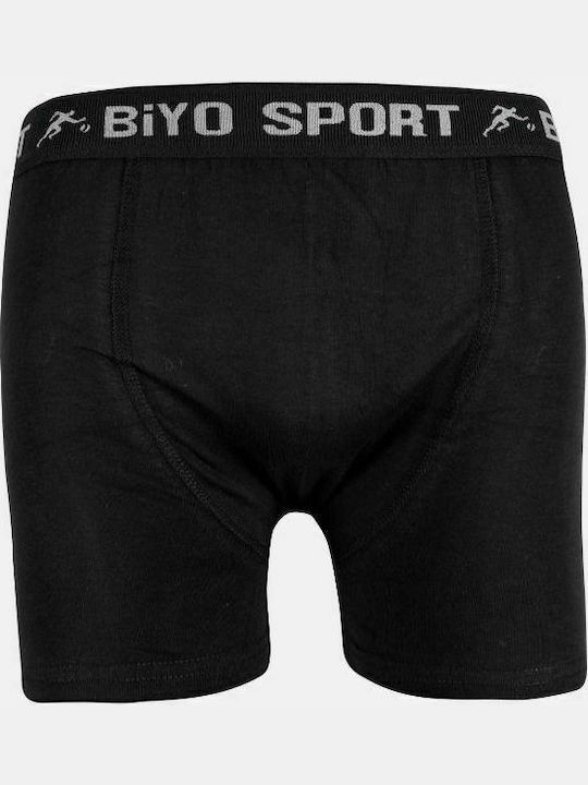 Biyo Biyo