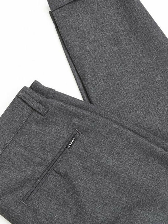Pisa Arius Trousers in Regular Fit Gray