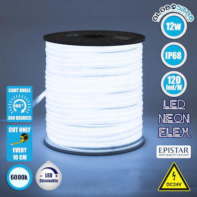 GloboStar Αδιάβροχη Ταινία Neon Flex LED Τροφοδοσίας 24V με Ψυχρό Λευκό Φως Μήκους 1m και 120 LED ανά Μέτρο