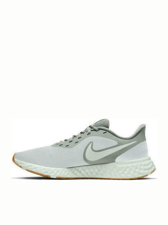 Nike Revolution 5 Ανδρικά Αθλητικά Παπούτσια Running Γκρι