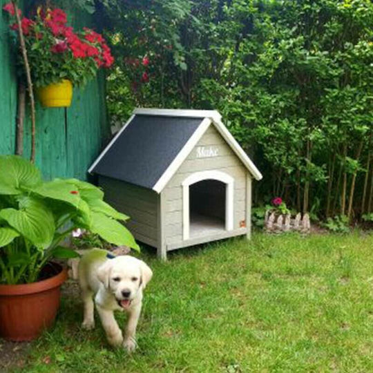 Vesta Dog House Wooden Outdoor Gray 72x76x76cm