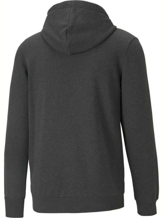 Essentials Big Logo Sweatshirt with Hood Gray