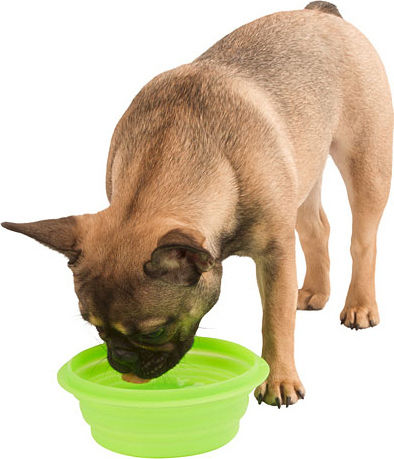 Kerbl Bowl Silicone Food & Water for Dog & Cat 1lt in Green Color