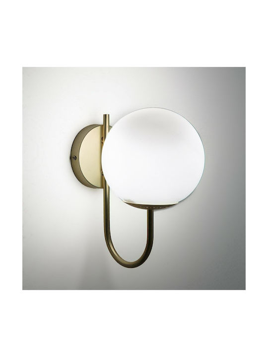 La Redoute Interieurs Modern Lamp Wall with Socket E14 Gold 25cm