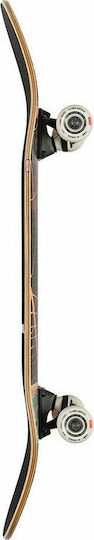 Globe Rapid Space Complete Shortboard 8.25" Multicolour