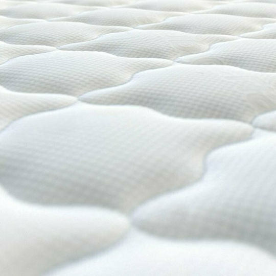 Fylliana Oniro Queen Anatomic Saltea 160x200x30cm