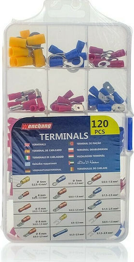 Carpoint Insulated Terminal Kit 100pcs 1623500